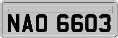 NAO6603