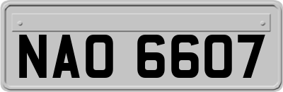 NAO6607