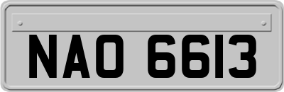 NAO6613