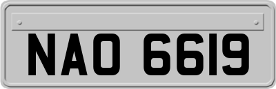 NAO6619