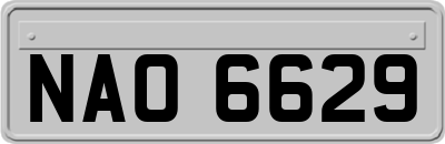 NAO6629