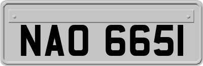 NAO6651