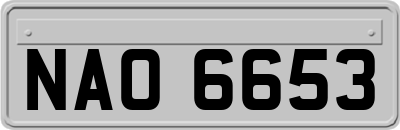 NAO6653