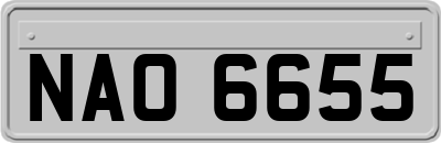 NAO6655