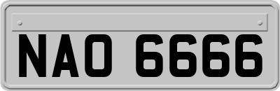 NAO6666