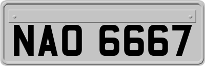 NAO6667