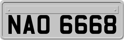 NAO6668