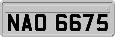 NAO6675