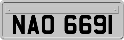 NAO6691