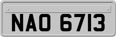 NAO6713