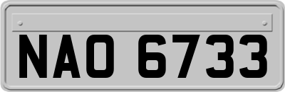 NAO6733