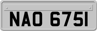 NAO6751