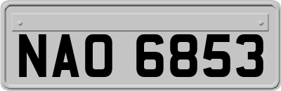 NAO6853