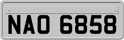 NAO6858