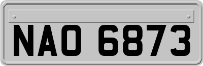 NAO6873