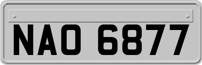 NAO6877