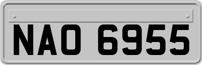 NAO6955