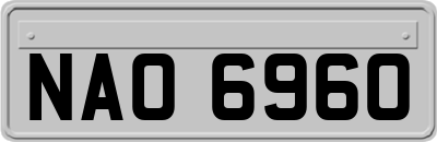 NAO6960