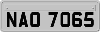 NAO7065