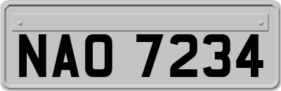 NAO7234