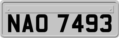 NAO7493