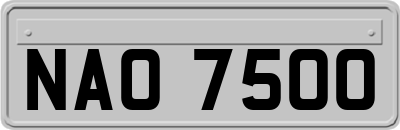 NAO7500