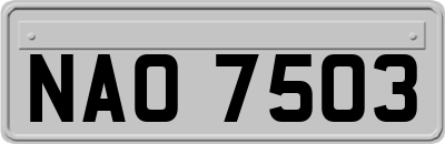 NAO7503