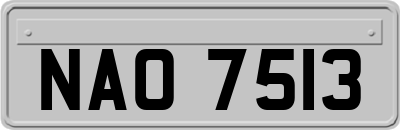 NAO7513