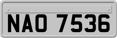 NAO7536