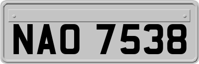 NAO7538