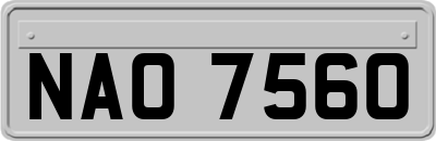 NAO7560