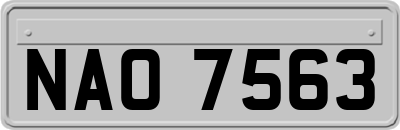 NAO7563