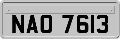 NAO7613