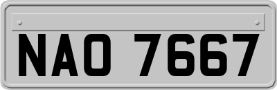 NAO7667