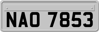 NAO7853