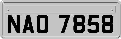 NAO7858