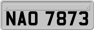 NAO7873