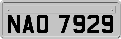 NAO7929