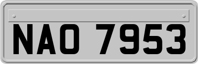 NAO7953