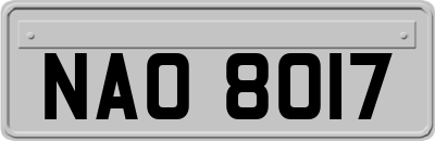 NAO8017