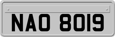 NAO8019