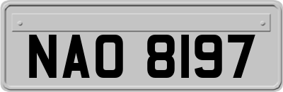 NAO8197