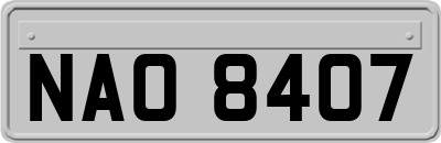 NAO8407