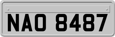 NAO8487