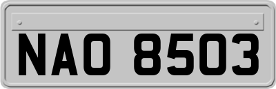 NAO8503