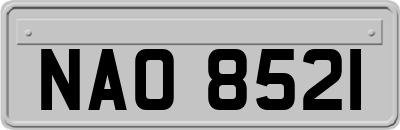 NAO8521