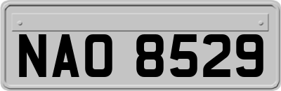 NAO8529