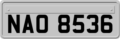 NAO8536