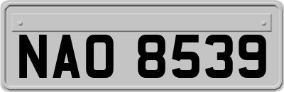 NAO8539