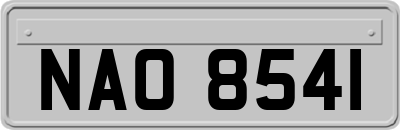 NAO8541